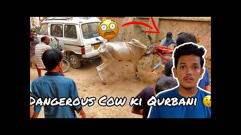 Dangerous Cow ki Qurbani 😱|| Qurbani 2023 🖤| Qurbani Vlog 2023