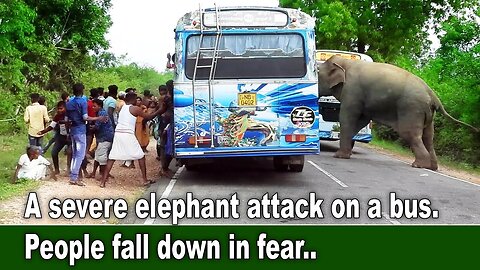 A severe elephant attack on a bus. People fall down in fear