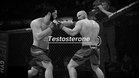 Testosterone 🗿