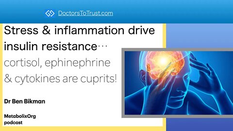 Ben Bikman2: Stress & Inflammation: insulin resistance...cortisol, epinephrine & cytokines: culprits