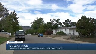 12-year-old boy, his grandmother attacked by family dogs