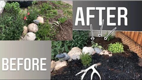 WEEDING & YARD CLEANUP MOTIVATION. EPIC FLOWER BED MAKEOVER | Gardening in Canada 👩‍🔬🌿