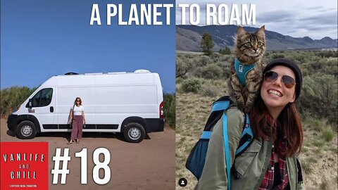 #18 - Van Life with 2 cats! | Vanlife and chill podcast