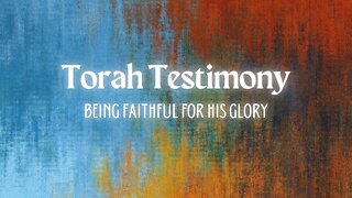 Torah Testimony - Amanda S.