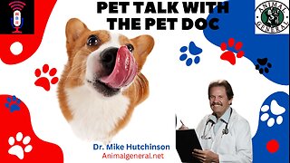 Pet Talk With The Pet Talk