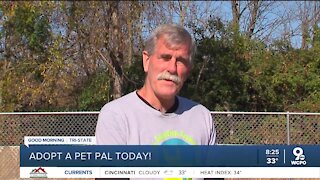 Pet Pals: Meet Roo