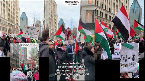Montreal for Palestine! 🇵🇸