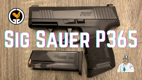 Sig Sauer P365