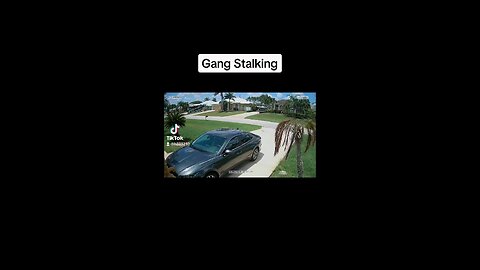 Gang Stalkers