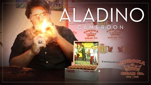 Aladino Cameroon | Cigar Review