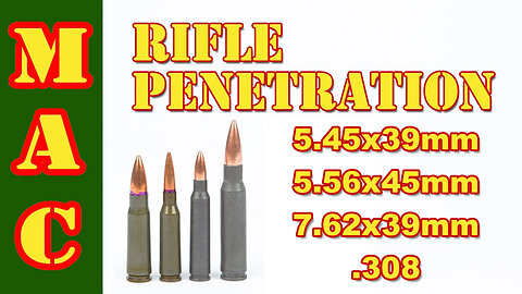 Rifle Penetration Test on Trees: 5.45x39mm vs 5.56x45mm vs 7.62x39mm vs .308 🌳💥🔫