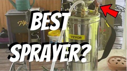 What is the Best Stainless Steel Sprayer?- Helpful Vevor 2 Gallon Sprayer Review