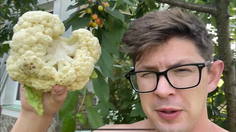 I ate more VEGETABLES for CROHN'S & this happened...
