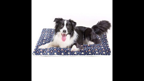 Review Mora Pets Ultra Soft Pet (DogCat) Bed with Cute Prints Reversible Fleece Crate Bed Ma...