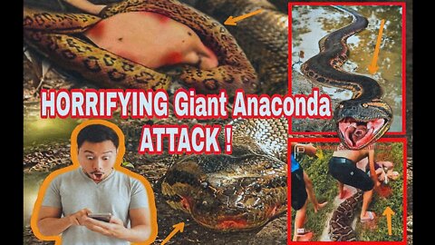 Warning this Video will make you SHOCK - Anaconda On Chase