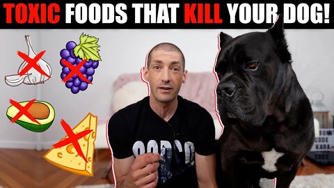 14 Foods That Can Kill Your Cane Corso & any Dog