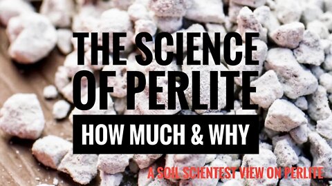 HOW MUCH PERLITE DO YOU MIX INTO POTTING SOIL? DOES PERLITE CAUSE BROWN TIPS? A SOIL SCIENTIST VIEW