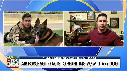 Air Force Staff Sergeant Reunites With Military Dog Partner
