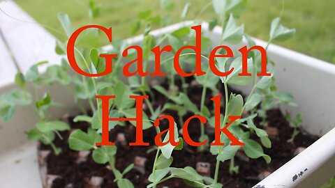 Gardening Hack