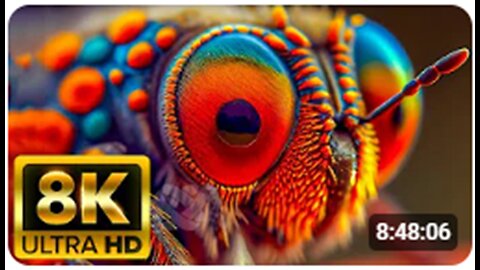 8K VIDEO ULTRA HD [60FPS] - Explore The Beautiful Majesty Of Wildlife With Soothing Relaxing Music