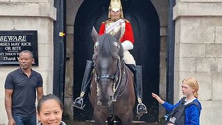 The horse got fed up with this Tourist keep coming back #horseguardsparade