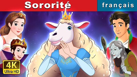 Sororité | Sisterhood in French | MSTV