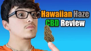 Hawaiian Haze CBD - Horn Creek Hemp