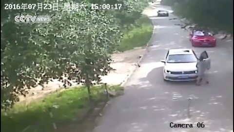 Woman Killed by Tiger After Exiting Her Vehicle at Beijing Animal Park