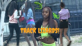 lizards strolling the track