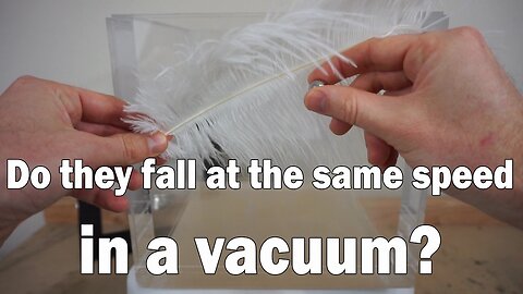 If You Drop A Feather And A Metal Cube In A Vacuum Chamber Will They Hit At The Same Time?