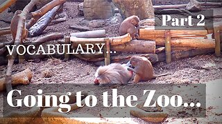Going to the Zoo - part 2: Vocabulary
