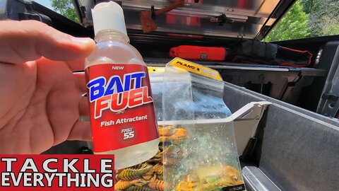 Bait Fuel - A TRUE Test