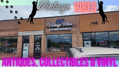 Vintage Vibes - Antiques, Collectibles & Vinyl Shop - Complete Walkthrough - Livonia, MI