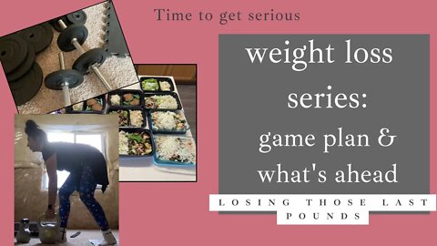 Getting serious about macro counting & losing the weight // weight loss series