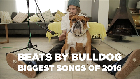 Beats by bulldog: Biggest songs of 2016