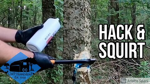 How to Use the Hack & Squirt Technique | Timber Stand Improvement