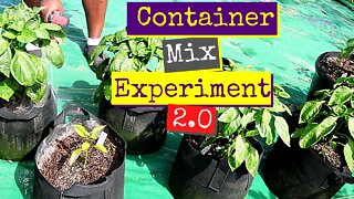 Container Mix Experiment | 2.0