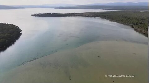 Mallacoota Inlet 25 July 2020 Fly around going to the east of Goat Island