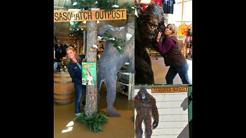 Bigfoot Photos Sasquatch Pics #bigfoot