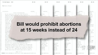 An in-depth look at the Florida abortion bill