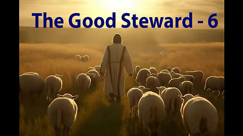The Good Steward - 6