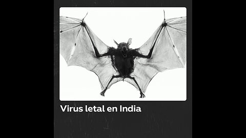 Reaparece el virus Nipah en la India