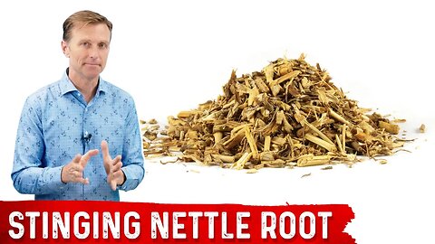 5 Benefits of Stinging Nettle Root