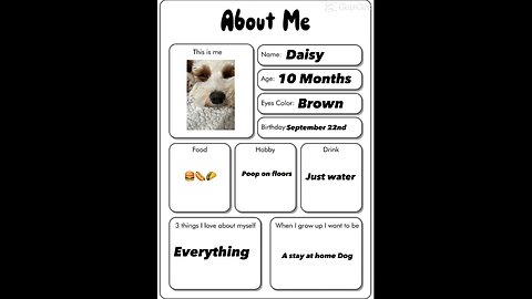 My dog Daisy