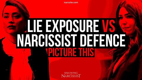Amber Heard : Lie Exposure Vs Narcissist Defence :Picture This
