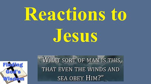 Reactions to Jesus
