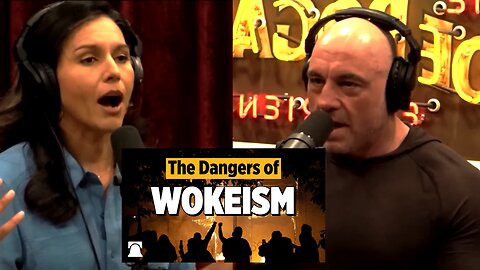 Joe Rogan & Tulsi Gabbard: The Creation Of WOKE CULTURE In Universities Over The Past Decade!