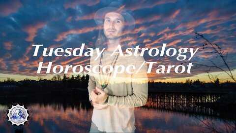 Daily Astrology Horoscope/Tarot March 8th 2022 (All Signs)