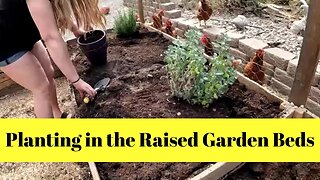 Planting in the Raised Garden Beds
