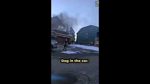 Heroes rescue trapped dog in burning car.